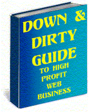Product picture The Down and Dirty Guide to High Profit Web Business
